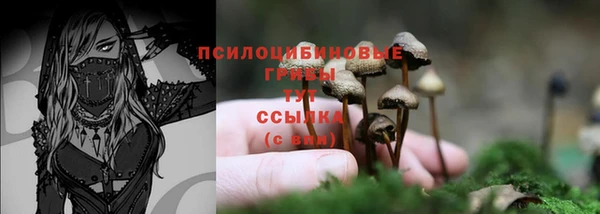 mix Беломорск