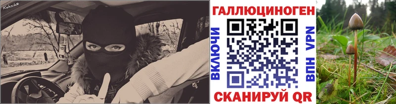 дарнет шоп  Нея  Псилоцибиновые грибы прущие грибы 